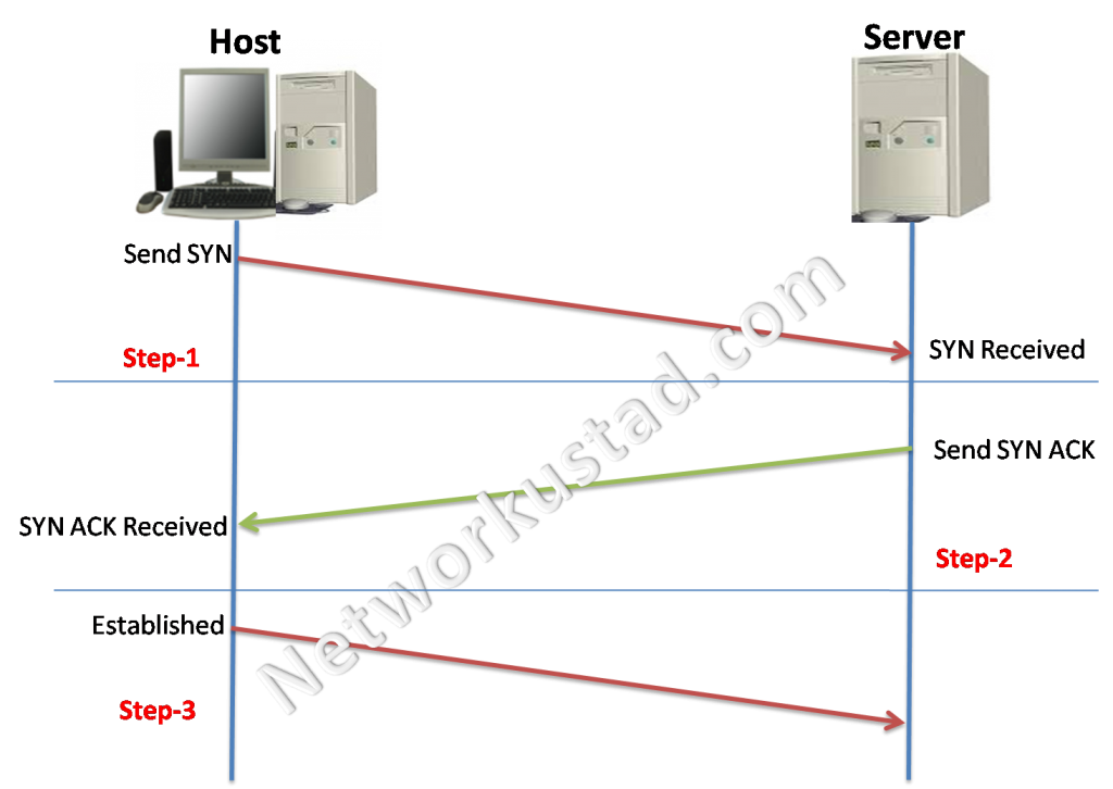 TCP Connection Establishment and Termination