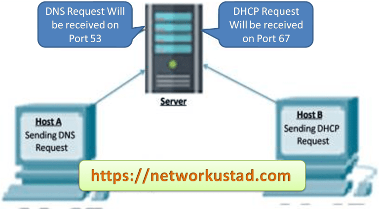 User Datagram Protocol (UDP) explained User Datagram Protocol (UDP) explained