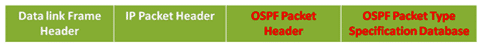 ospf message encapsulation 1