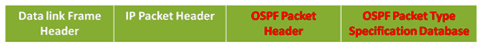 How to Encapsulate OSPF Messages