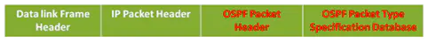 How to Encapsulate OSPF Messages