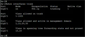 Trunk Links