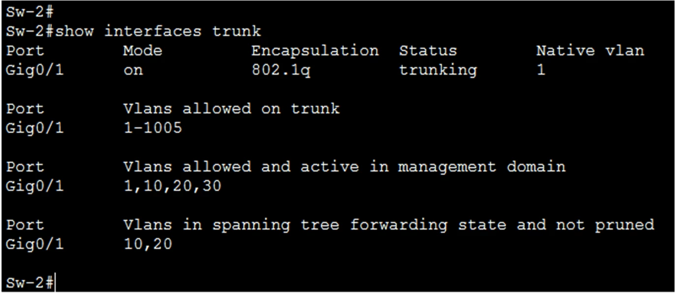 What are Trunk Links? Common Problem and Troubleshooting