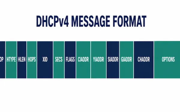 Horizontal Segmented Diagram Showing The Full Dhcpv4 Message Layout With All Thirteen Fields Labeled In Order From Op Code To Options