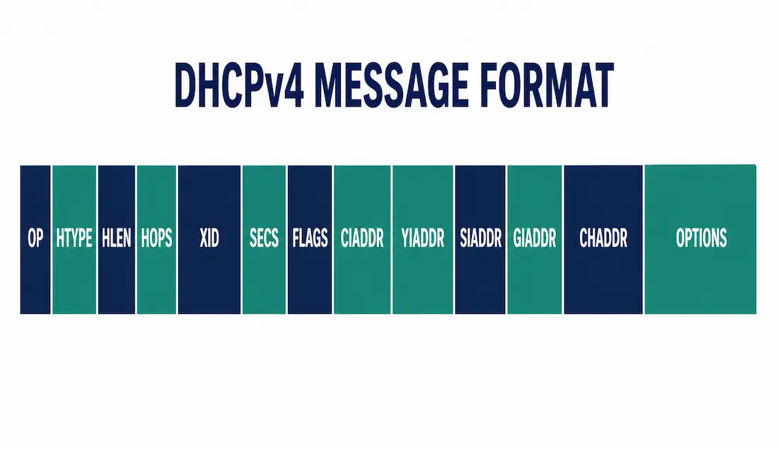 Understanding The Dhcpv4 Message Format 1 Horizontal Segmented Diagram Showing The Full Dhcpv4 Message Layout With All Thirteen Fields Labeled In Order From Op Code To Options