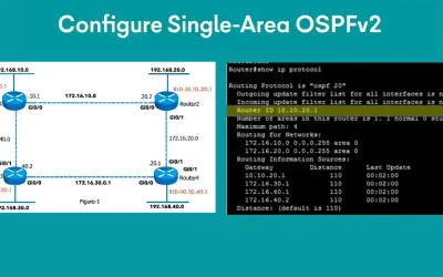 Diagram of single-area OSPFv2 topology with four Cisco routers connected via GigabitEthernet, including IP addresses, router IDs, and 'show ip protocol' command output for verification.
