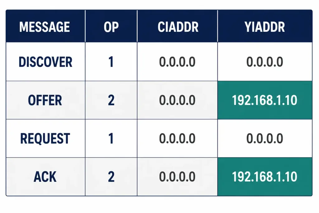 Understanding The Dhcpv4 Message Format 2 Table Showing Op Code, Ciaddr, And Yiaddr Values Across Discover, Offer, Request, And Acknowledge Messages, With Yiaddr Highlighted As The Field That Carries The New Address