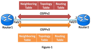 OSPFv3