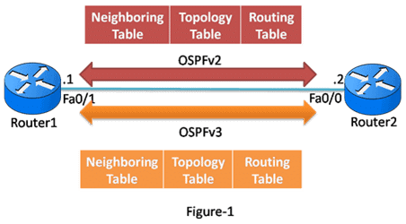 Introduction to OSPFv3 and Comparison to OSPFv2