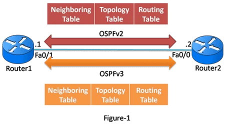 Introduction to OSPFv3 and Comparison to OSPFv2