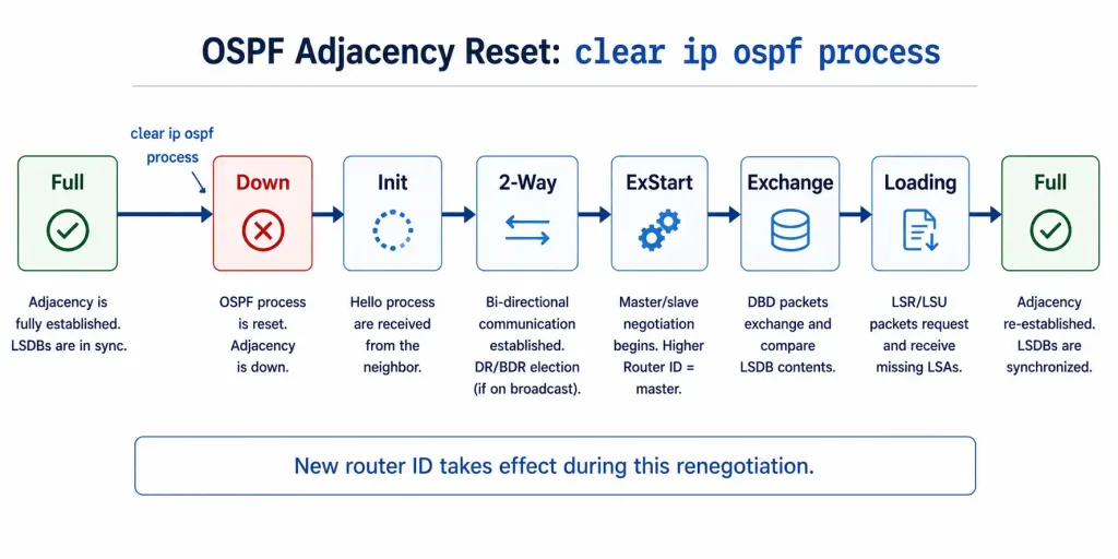 Configure Single-Area Ospfv2: A Comprehensive Guide 3 Sequence Diagram Showing Ospf Adjacency Dropping From Full To Down And Renegotiating Back Through Init, 2-Way, Exstart, Exchange, And Loading To Full After Clear Ip Ospf Process
