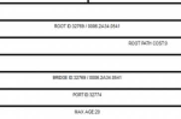 Network switches exchanging BPDUs