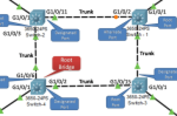 Spanning Tree Protocol port roles