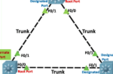 RSTP and Rapid PVST in networking