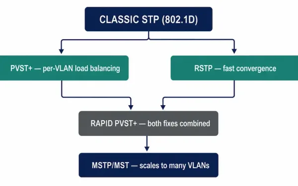 Tree Diagram Showing How Classic Stp Branches Into Pvst+, Rstp, Rapid Pvst+, And Mstp/Mst