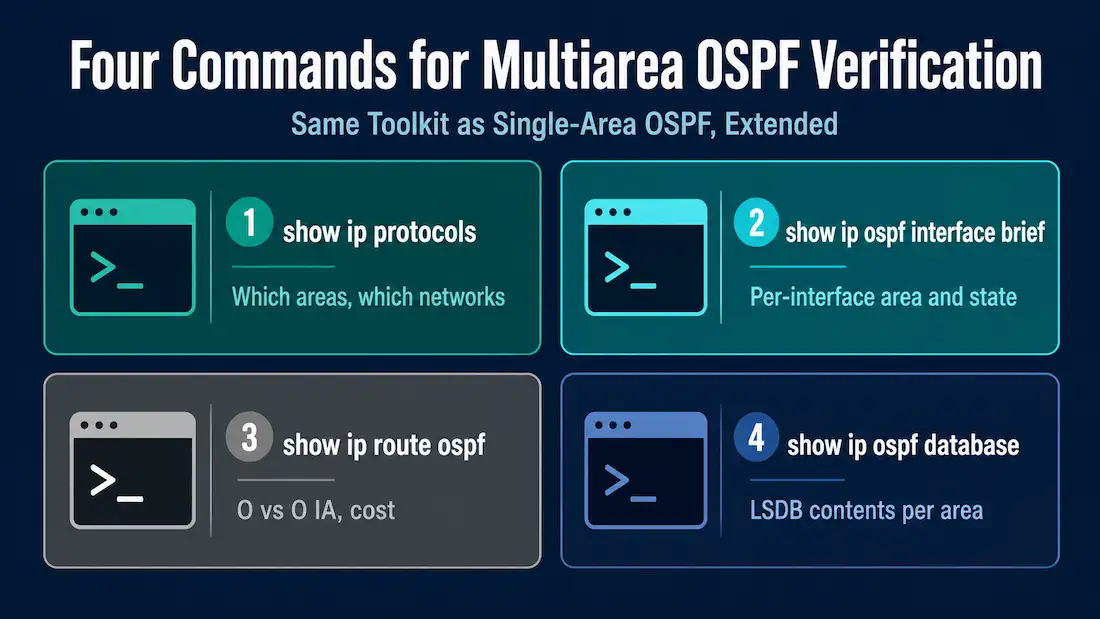 How To Verify Multiarea Ospf 1 Infographic Showing Four Key Commands For Verifying Multiarea Ospf: Show Ip Protocols, Show Ip Ospf Interface Brief, Show Ip Route Ospf, And Show Ip Ospf Database