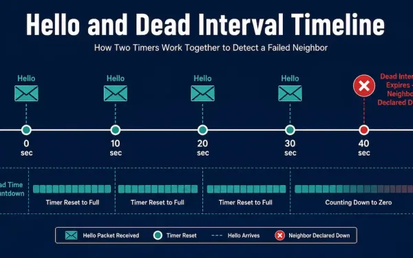 Timeline Showing Hello Packets Sent Every 10 Seconds Resetting The Dead Interval Countdown, With The Neighbor Declared Down If 40 Seconds Pass Without A Hello