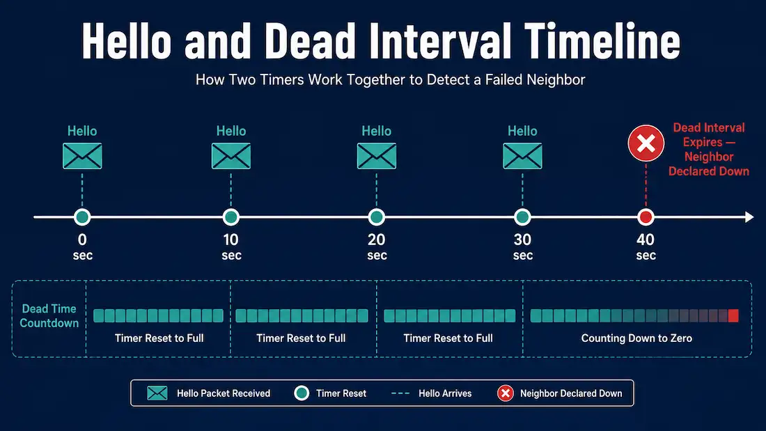 Ospf Hello And Dead Intervals 1 Timeline Showing Hello Packets Sent Every 10 Seconds Resetting The Dead Interval Countdown, With The Neighbor Declared Down If 40 Seconds Pass Without A Hello