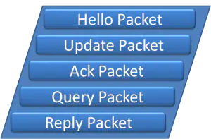 EIGRP Packets