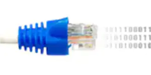 Leased Lines