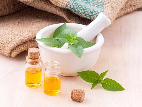 Description: Lemon, Basil, Hairy, Natural, Spice