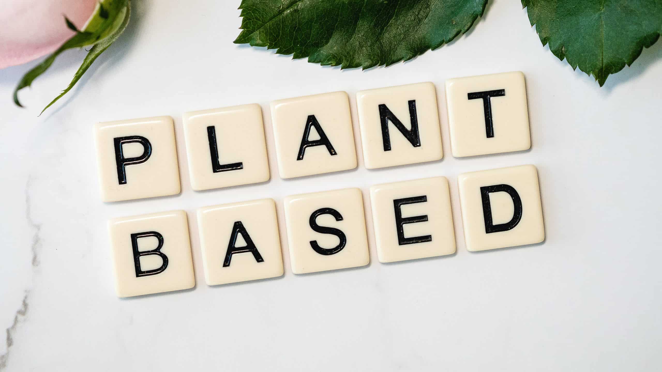BEST-BASED PROTEIN FOODS – Exclusive Details