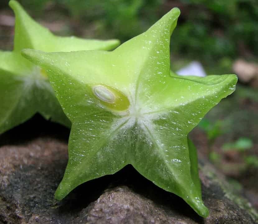 star fruit