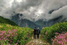Valley-of-flowers Valley of flowers trek