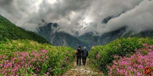 Valley of flowers trek