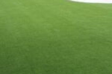 Artificial Grass