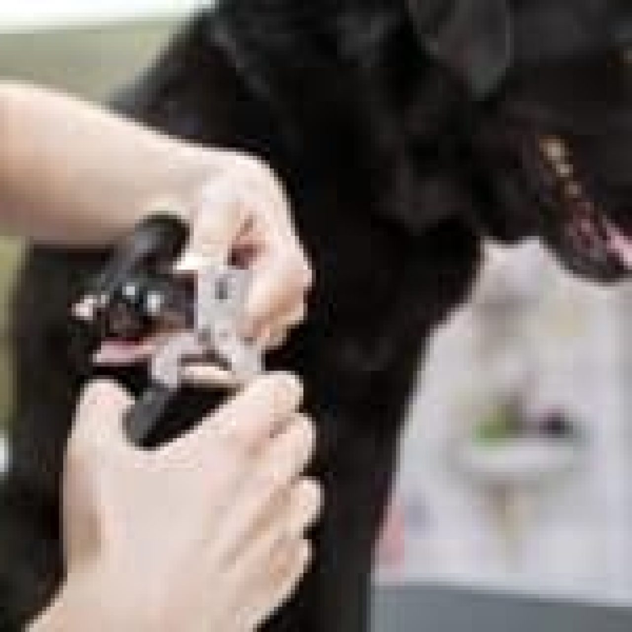 Dog Nail clipper