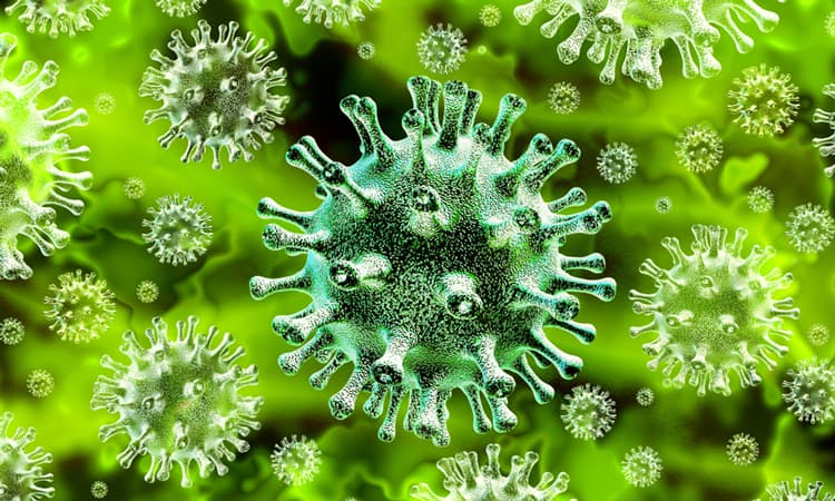 Collection of Messages and Quotes for Coronavirus Frontline Helpers Collection of Messages and Quotes for Coronavirus Frontline Helpers