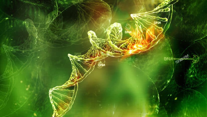 Class 12 Biology