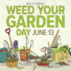 Illustration of gardening tools and plants with the text "National Weed Your Garden Day June 13."