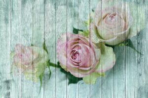 Acoustic Wall Panels