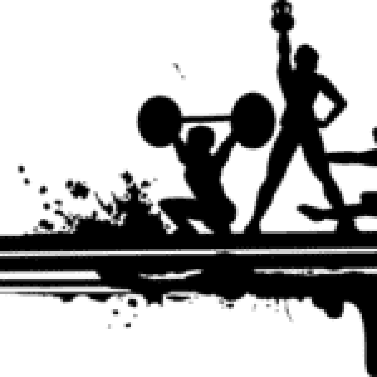 gym equipment