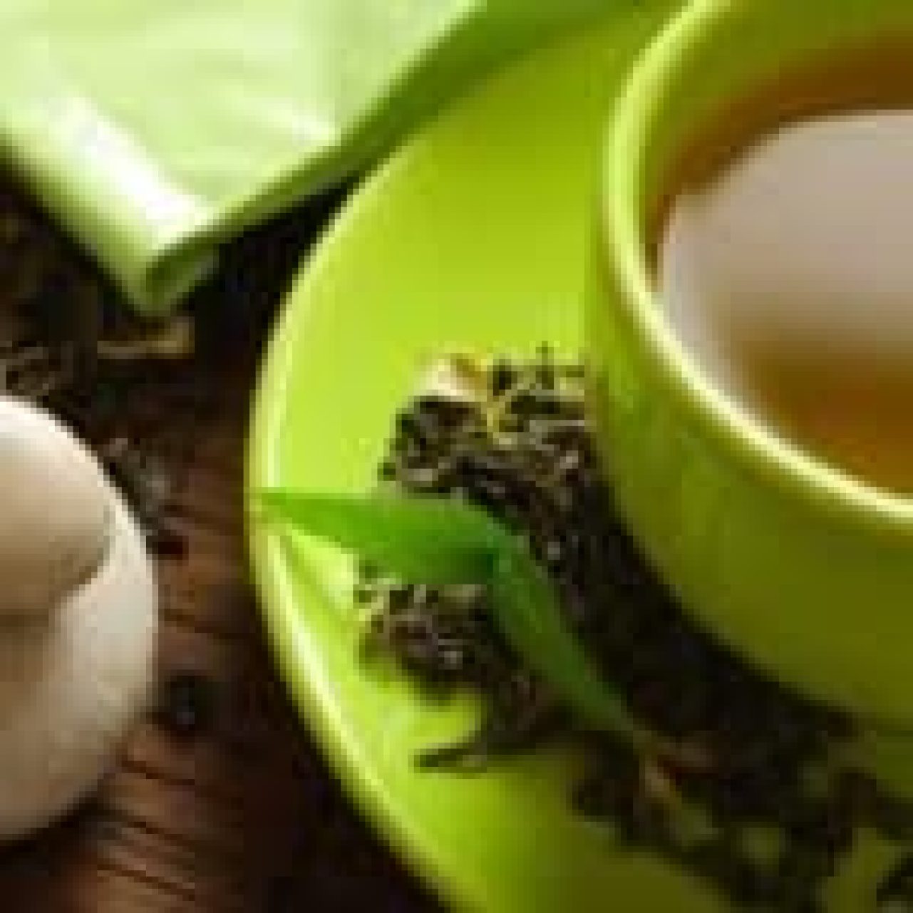 cup-of-green-tea-1