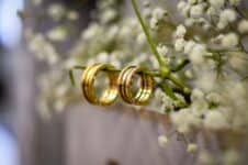 pexels-glauber-torquato-2219195 gold rings