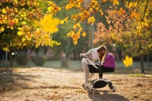 stroller wagon