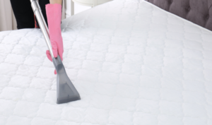sanitize a mattress