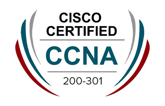 CCNA 200-301 Free Exam Questions & Answers