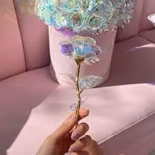 Galaxy Roses