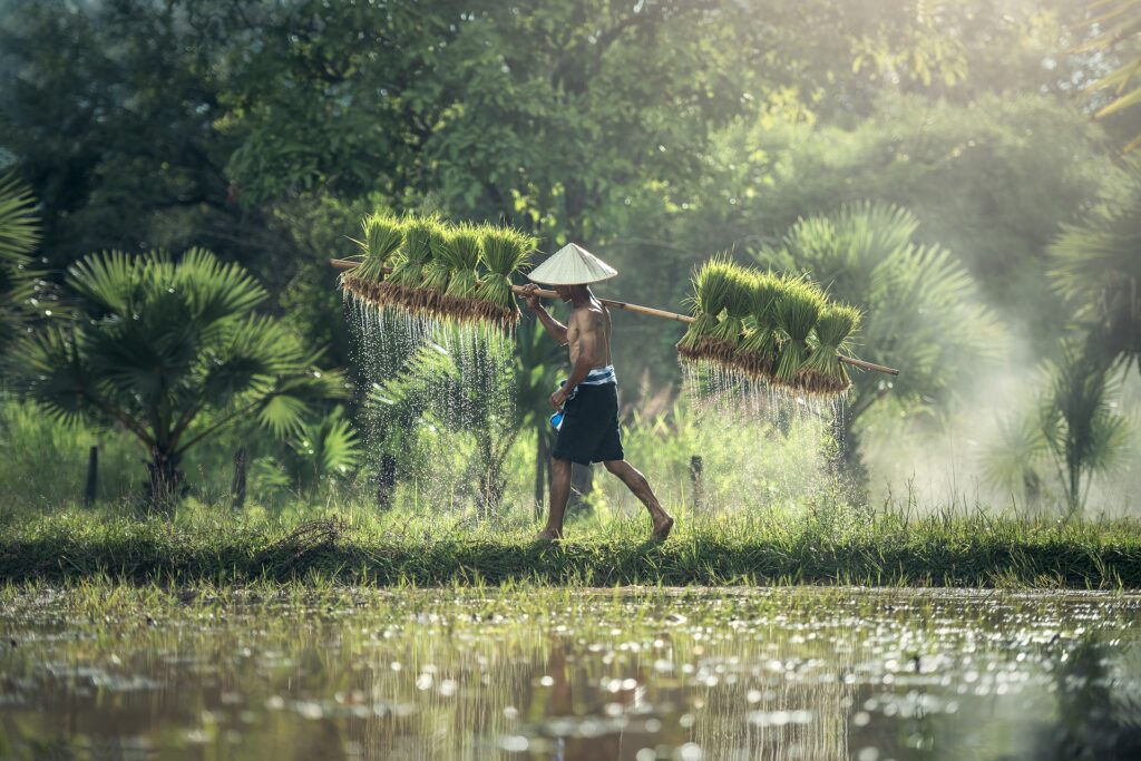 Business and Financial Tips for Farmers Business and Financial Tips for Farmers