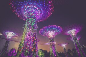 Illuminated Supertree Grove at Gardens by the Bay in Singapore at night.