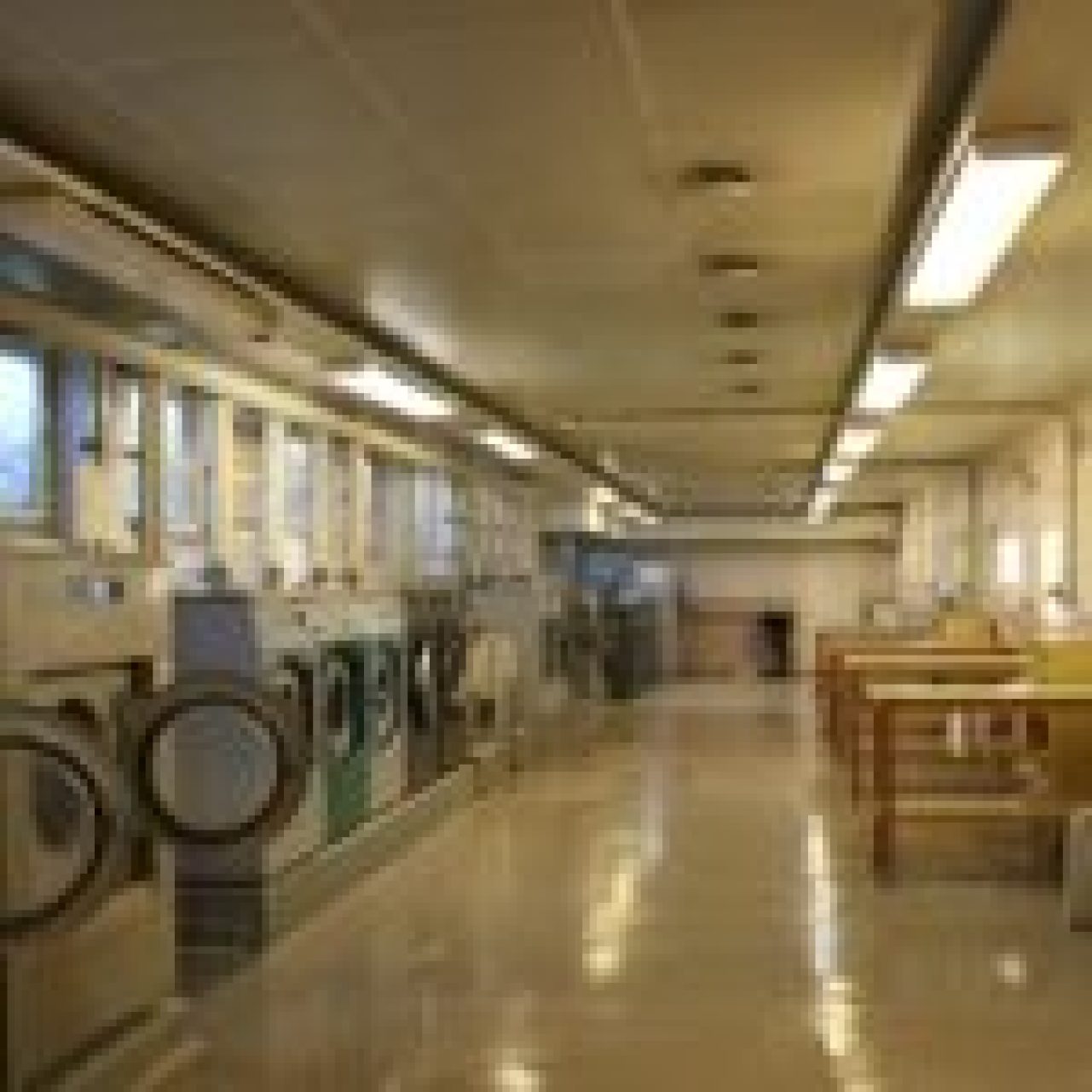 the-laundry-room