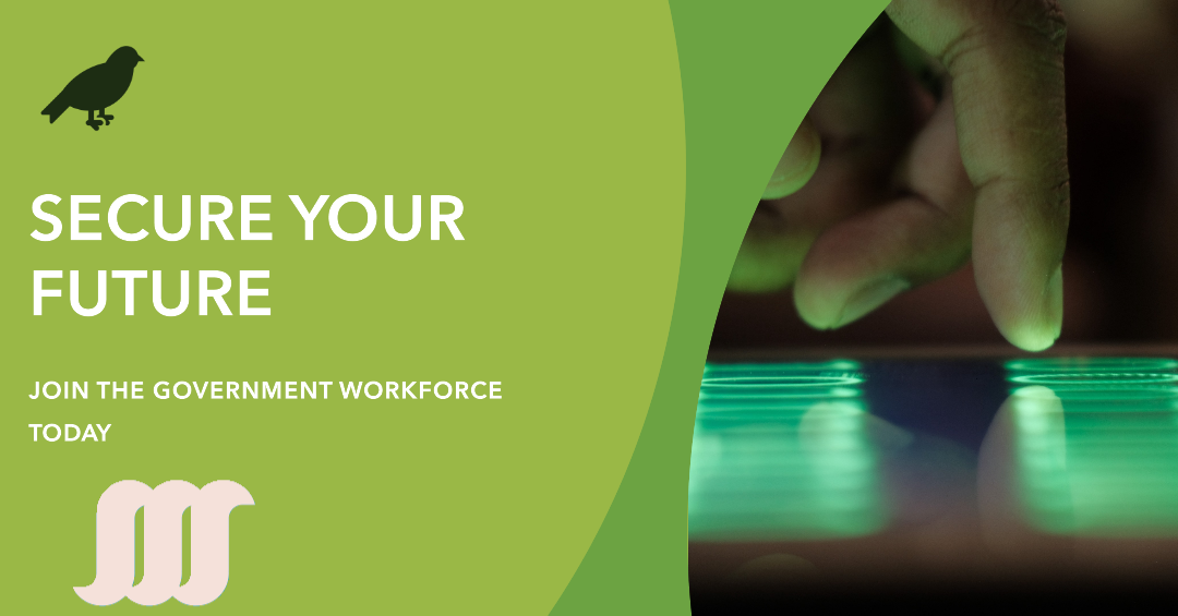 A promotional graphic encouraging individuals to join the government workforce, highlighting job security as a key benefit.