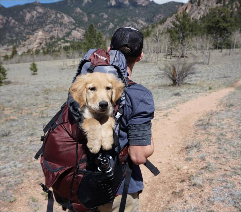 The Best Travel Backpack for Your Next Adventure