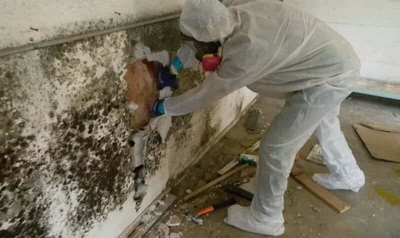 FDP Mold Remediation in Dallas, TX