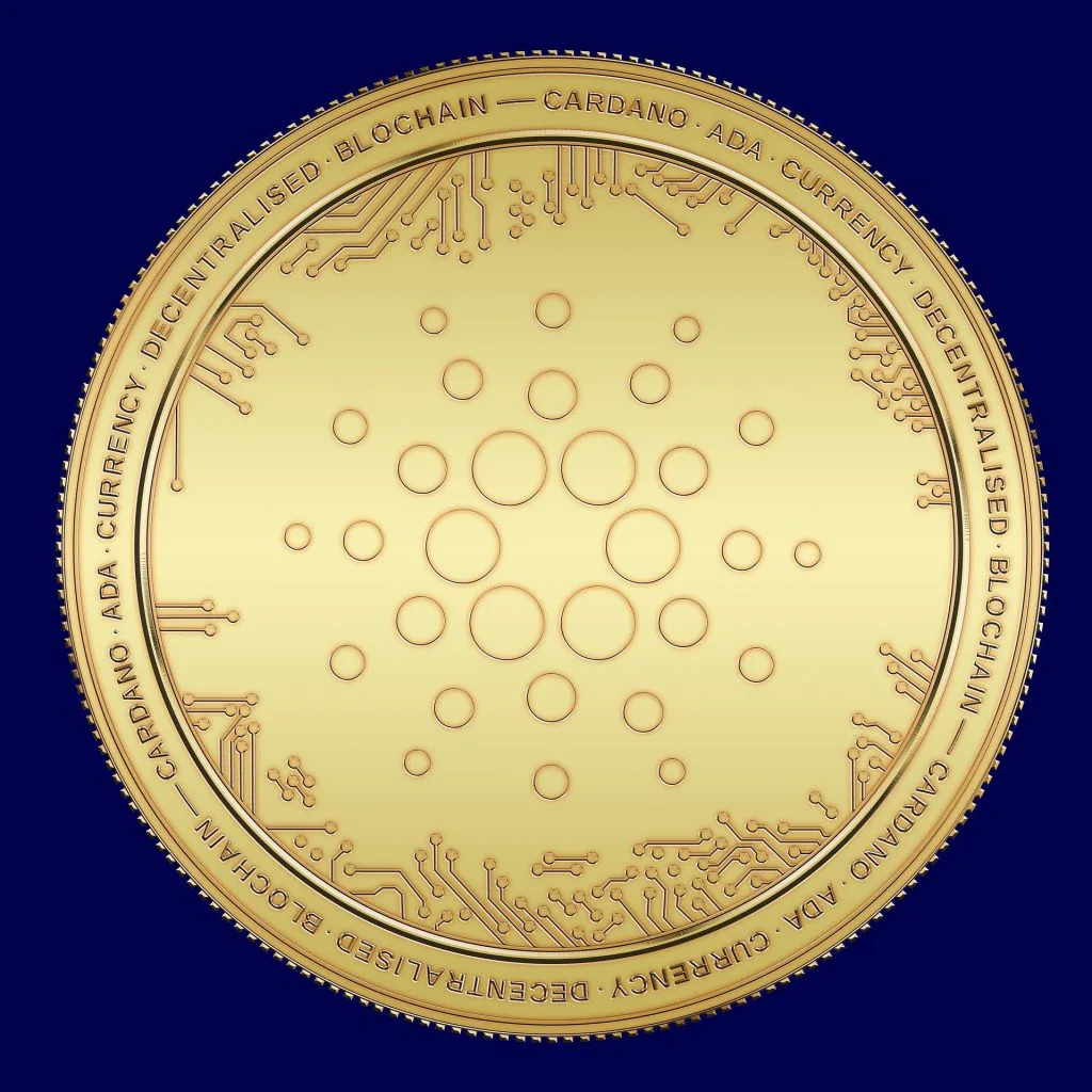 Should you Invest in Cardano?