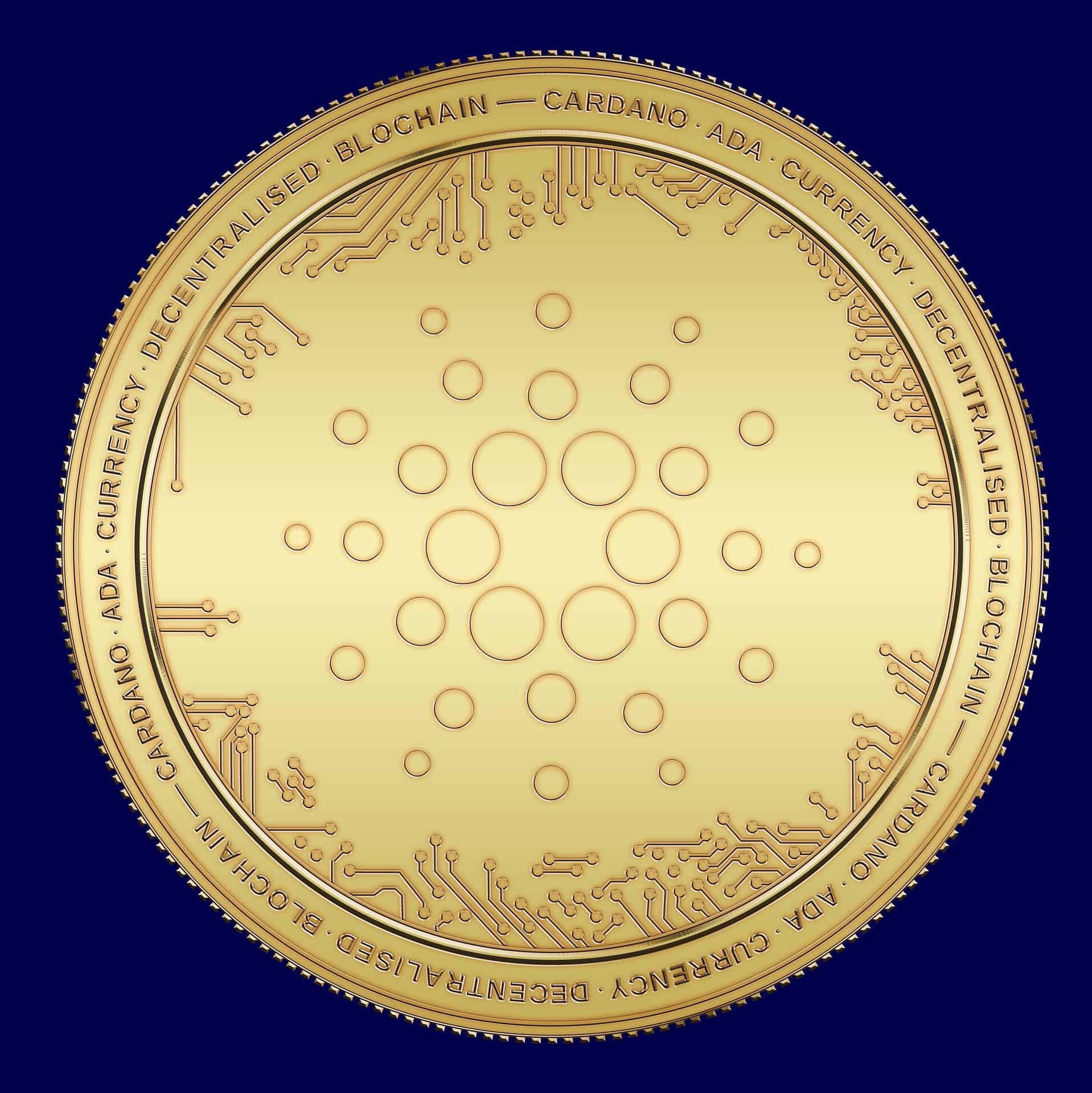 Should you Invest in Cardano?